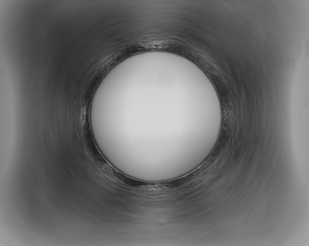 X0000116670652200912140946