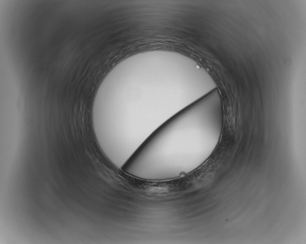 X0000116670653200912140946