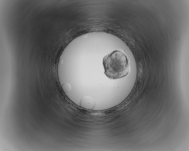 X0000116670659200912140946