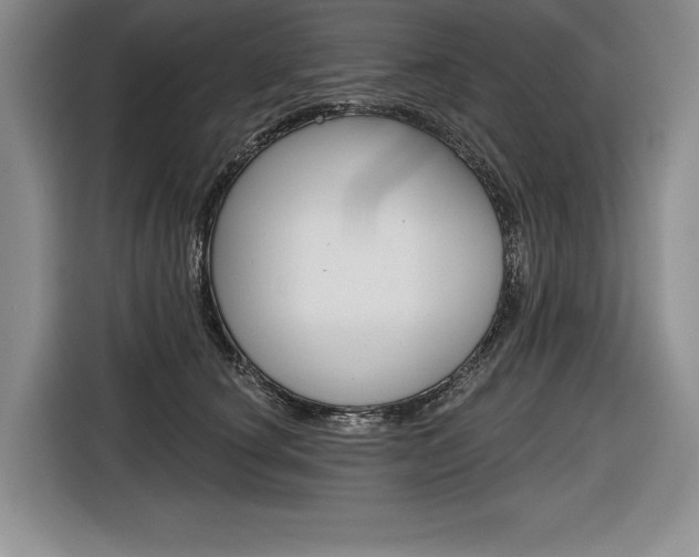 X0000116670660200912140946