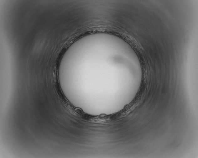 X0000116670661200912140946