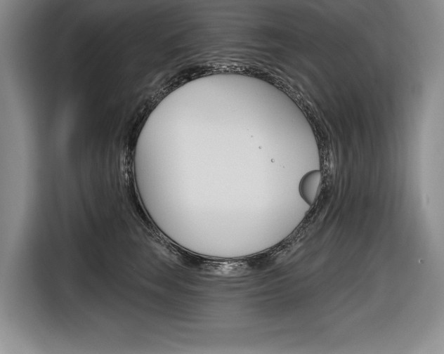 X0000116670663200912140946
