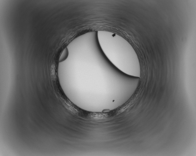 X0000116670670200912140946