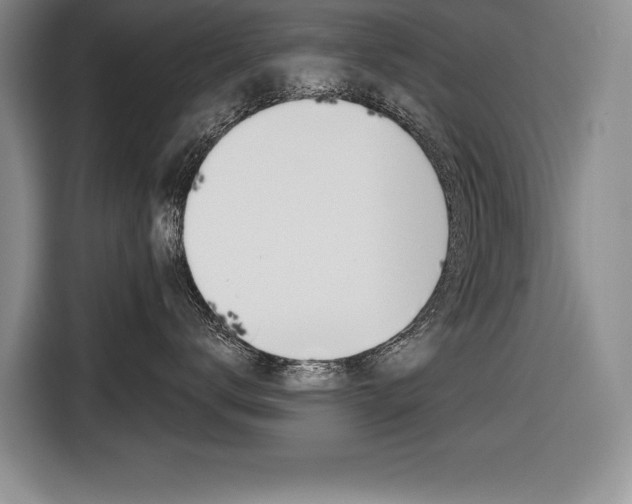 X0000116670672200912140946