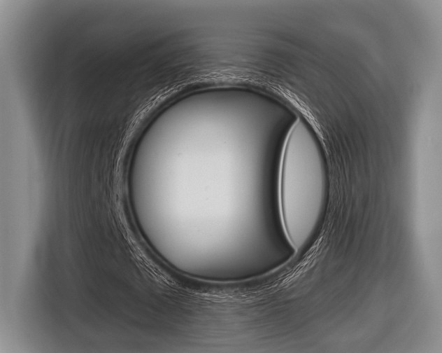 X0000116670673200912140946
