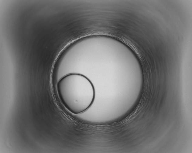 X0000116670676200912140946