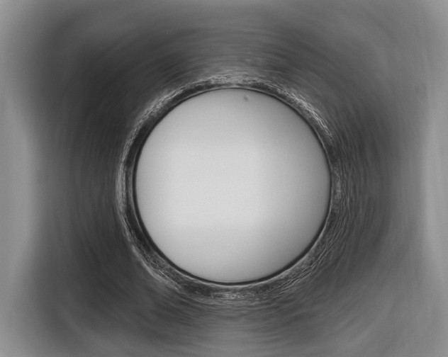 X0000116670678200912140946