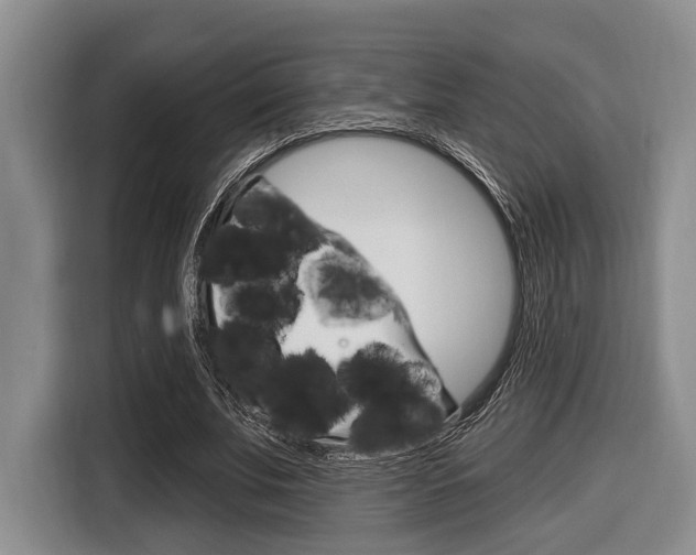 X0000116670679200912140946