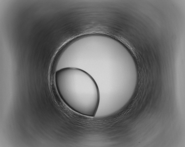 X0000116670680200912140946