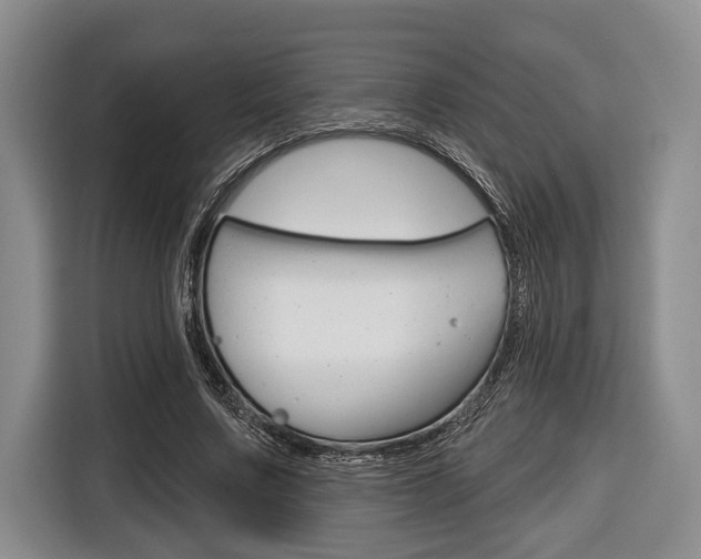 X0000116670683200912140946