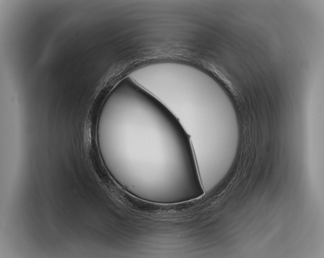 X0000116670685200912140946