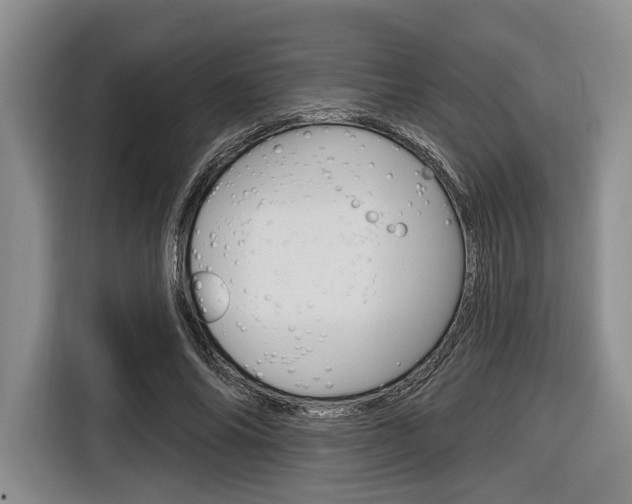 X0000116670686200912140946