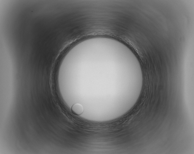 X0000116670688200912140946