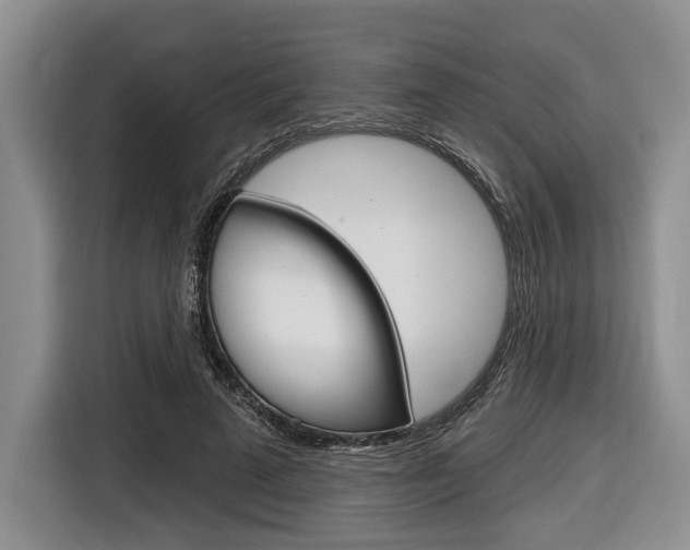 X0000116670689200912140946