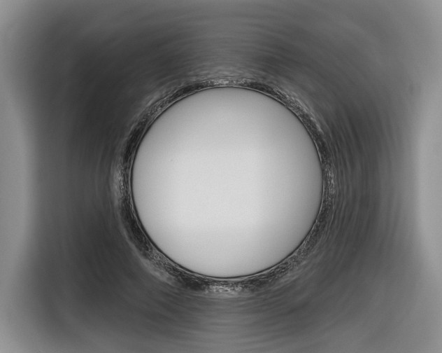 X0000116670690200912140945