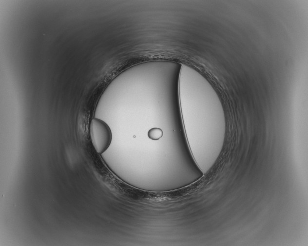 X0000116670695200912140945