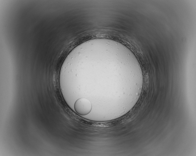 X0000116670698200912140945