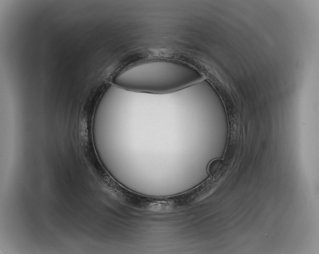 X0000116670700200912140945