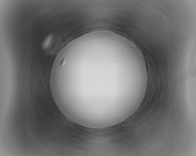 X0000116670701200912140945