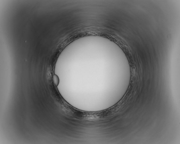X0000116670702200912140945