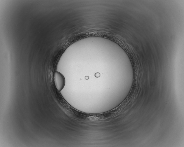 X0000116670703200912140945