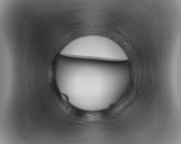 X0000116670707200912140945