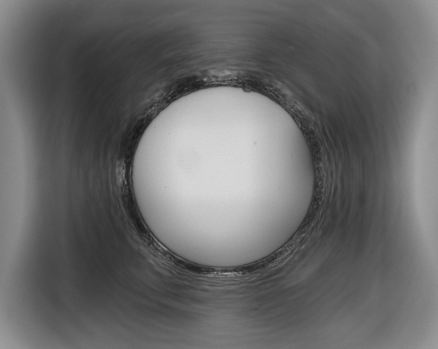 X0000116670711200912140945