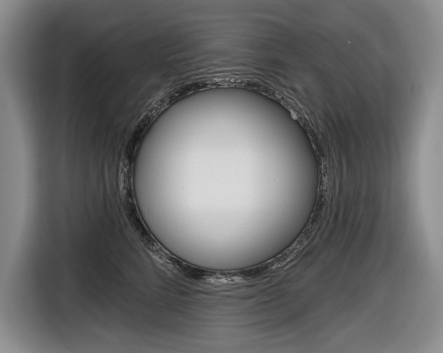 X0000116670712200912140945