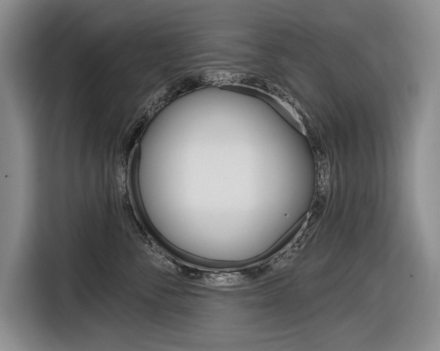 X0000116670716200912140945
