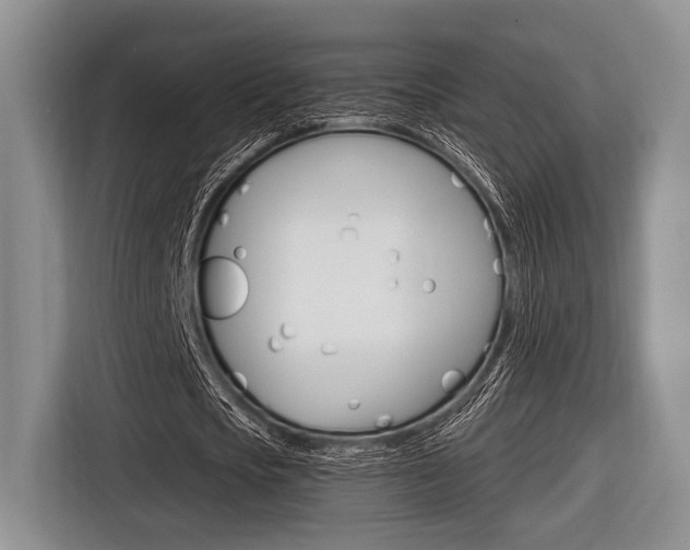 X0000116670721200912140944