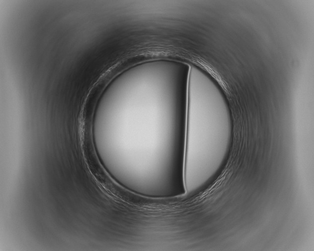 X0000116670722200912140944