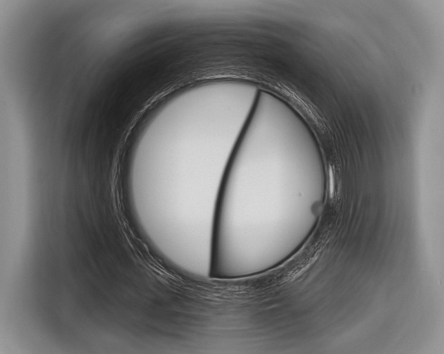 X0000116670723200912140945