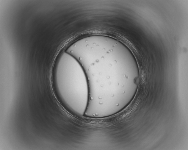 X0000116670725200912140945