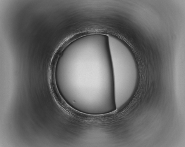 X0000116670726200912140945