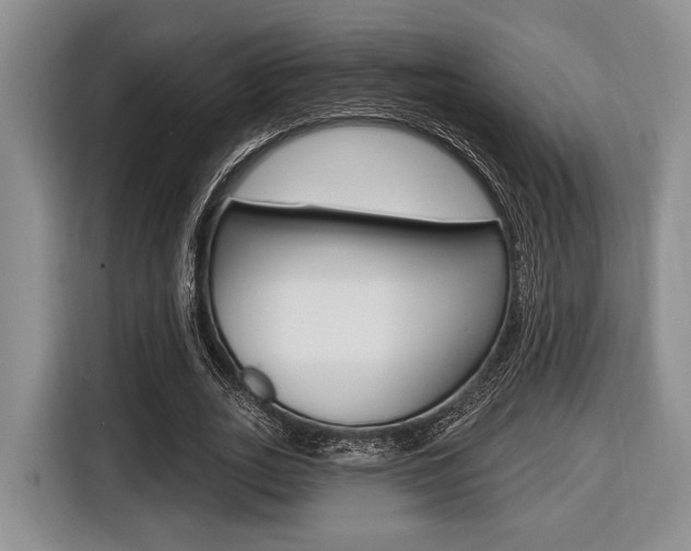 X0000116670727200912140945