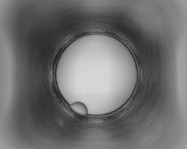 X0000116670729200912140945