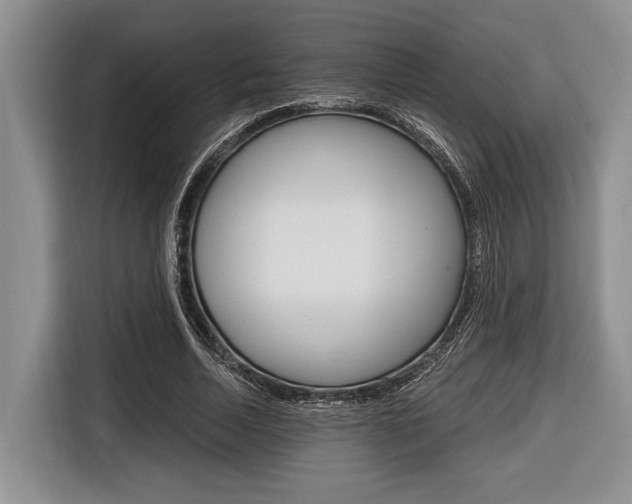 X0000116670730200912140945