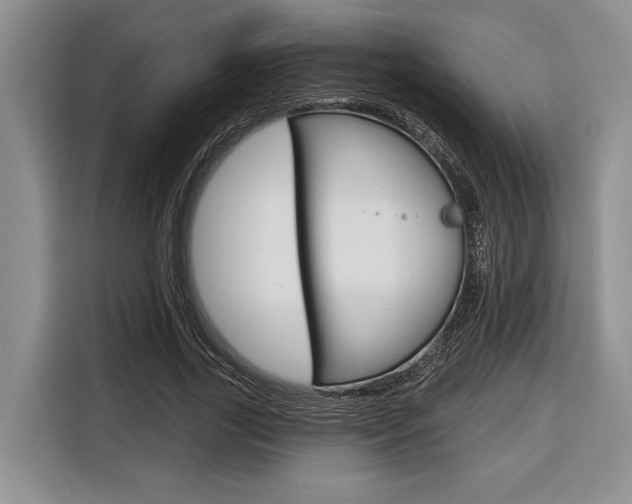 X0000116670731200912140945