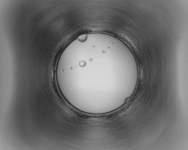 X0000116670733200912140945