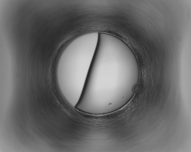 X0000116670735200912140945