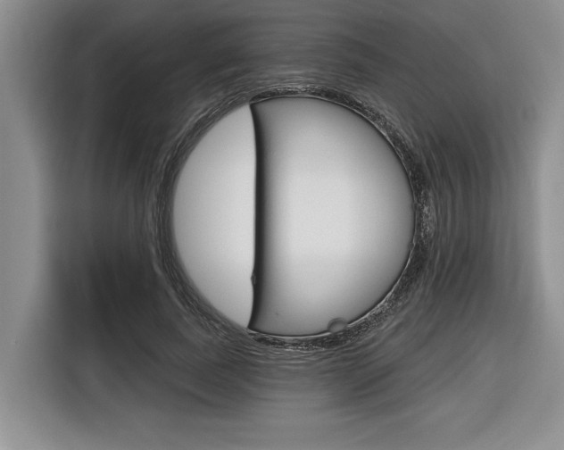 X0000116670739200912140945