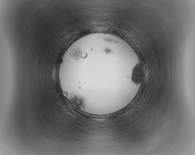 X0000116670745200912140945