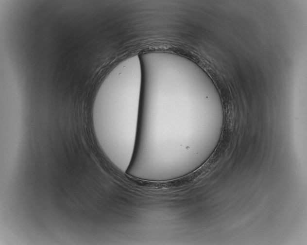 X0000116670747200912140945