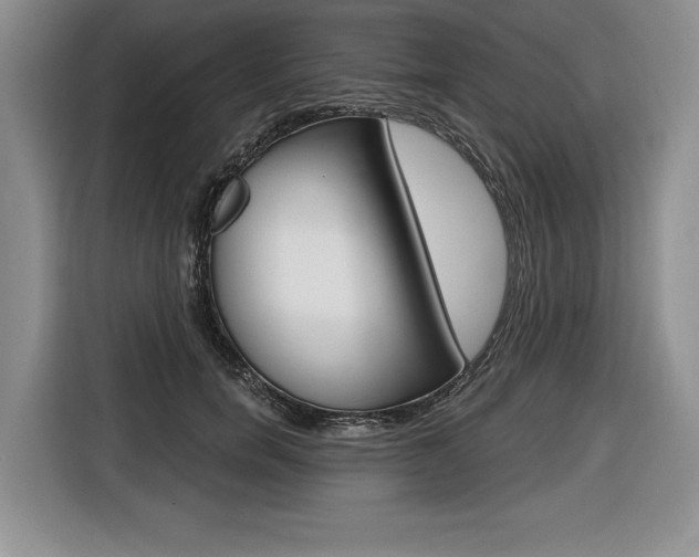 X0000116670750200912140945