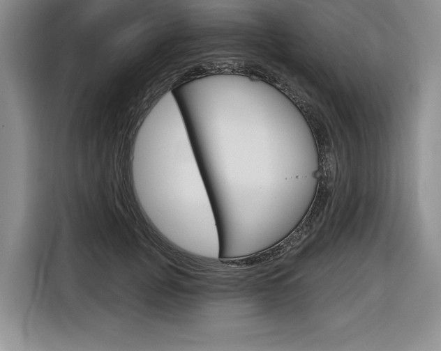 X0000116670751200912140945