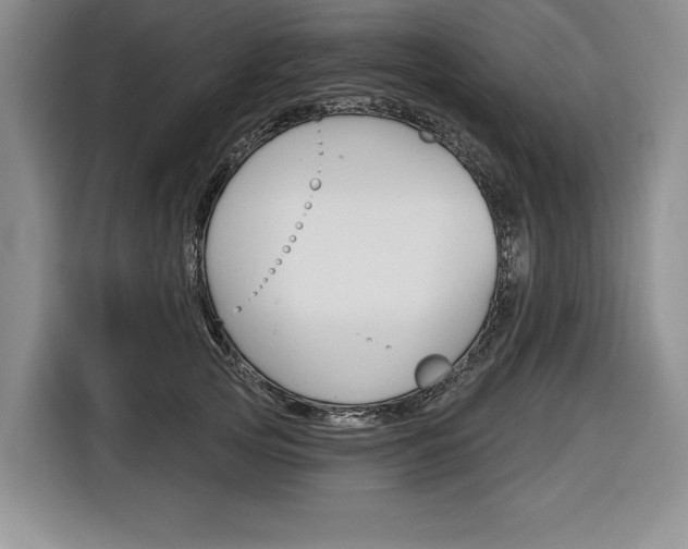 X0000116670753200912140945
