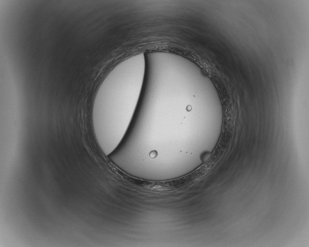 X0000116670755200912140945