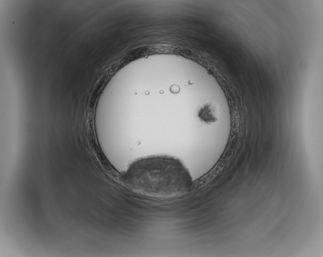 X0000116670757200912140945