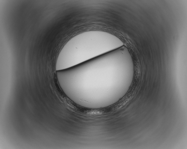 X0000116670759200912140945
