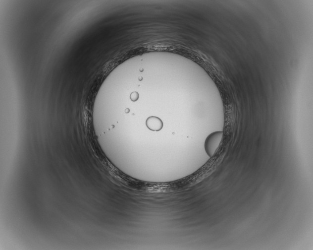 X0000116670761200912140945